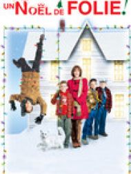 DVD Un Noël De Folie!