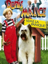 DVD Denis La Malice Sème La Panique