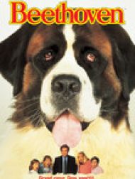 DVD Beethoven