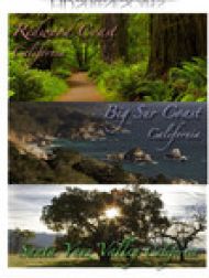 DVD HDSereneScapes: Big Sur Coast, Redwood Coast, Santa Ynez Valley, California (Bundle)