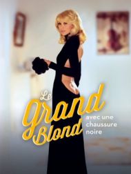 DVD Le Grand Blond Avec Une Chaussure Noire