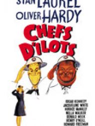 DVD Laurel Et Hardy Chefs D'îlot
