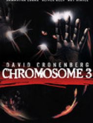 DVD Chromosome 3