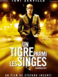 DVD Un Tigre Parmi Les Singes (VOST)