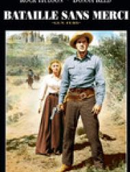 DVD Gun Fury (Bataille sans merci)