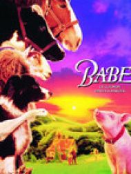 DVD Babe, le cochon devenu berger