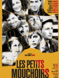 DVD Les Petits Mouchoirs