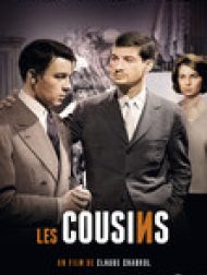 DVD Les Cousins