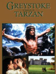 DVD Greystoke : La Légende De Tarzan