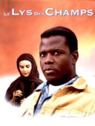 DVD Le lys des champs