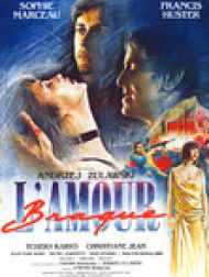 DVD L'amour braque