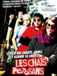 DVD Les Chats Persans (VOST)