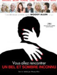 DVD Vous Allez Rencontrer Un Bel Et Sombre Inconnu