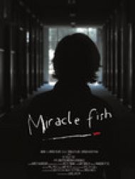 DVD Miracle Fish