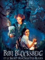 DVD Bibi Blocksberg et le secret des chouettes bleues