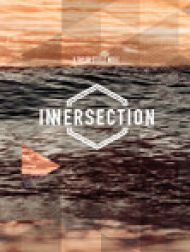 DVD Innersection 2011