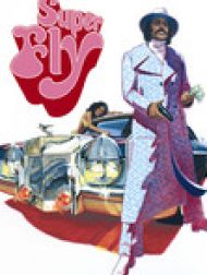 DVD Super Fly