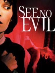 DVD See No Evil