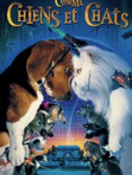 DVD Comme Chiens Et Chats