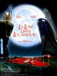 DVD La Lune Dans Le Caniveau