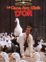 DVD La cane aux oeufs d'or