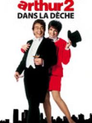 DVD Arthur 2: Dans la dèche