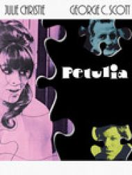 DVD Petulia