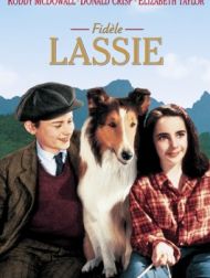 DVD Fidèle Lassie
