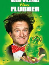 DVD Flubber