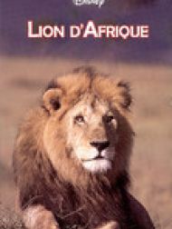 DVD Lion d'Afrique