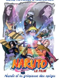 DVD Naruto Et La Princesse Des Neiges