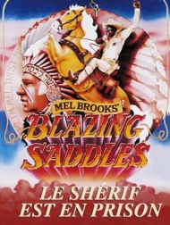 DVD Le Shérif Est En Prison