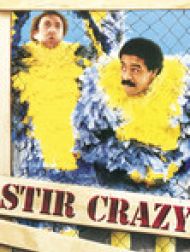 DVD Stir Crazy