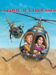 DVD La folie aux trousses