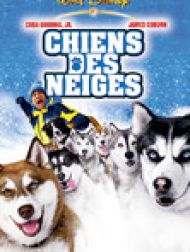 DVD Chiens Des Neiges