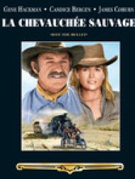 DVD La Chevauchée Sauvage