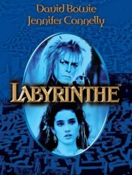 DVD Labyrinthe