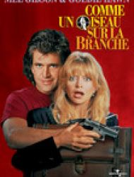 DVD Comme Un Oiseau Sur La Branche