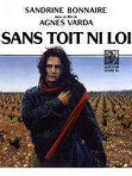 DVD Sans Toit Ni Loi