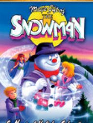 DVD Magic Gift of the Snowman