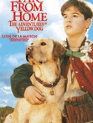 DVD Loin de la maison