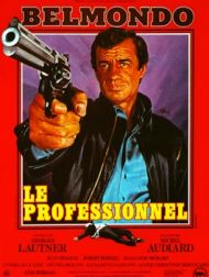 DVD Le Professionnel