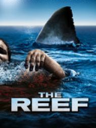DVD The reef