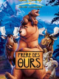 DVD Frère Des Ours