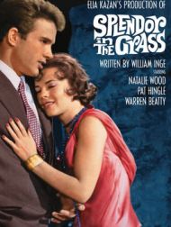 DVD La Fièvre Dans Le Sang (Splendor In The Grass)