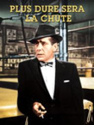 DVD Plus Dure Sera La Chute