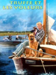 DVD Truffe et les voleurs