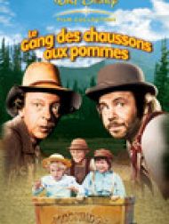 DVD Le gang des chaussons aux pommes