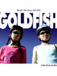 DVD Goldfish