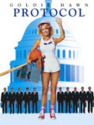 DVD Protocol